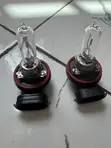 H9 Bulb - New - 1