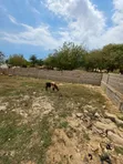 Plot for Sale - 450 SQM, Salasala - 2