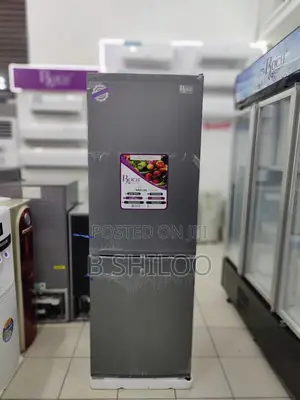 Roch Refrigerator RFR280DB - 248L Double Door