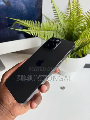 Apple iPhone 16 Pro Max 256GB Mpya Gray