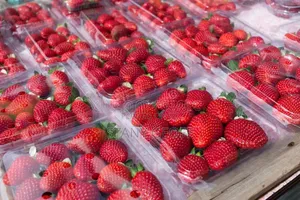 Strawberry Zilizopandwa Kiasili Bila Viuatilifu