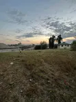 Prime Commercial Plot for Sale, Mbezi Magufuli - 4