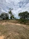 Eneo la Viwanda Ekari 6 kwa Mauzo, Mwasonga Kisarawe II - 3