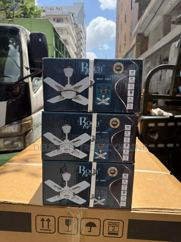 Pangaboi Fan - Roch Size 24 - Brand New - 1
