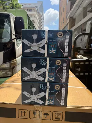 Pangaboi Fan - Roch Size 24 - Brand New