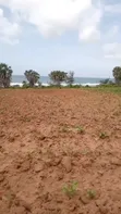 Eneo la Eka 10 Ufukweni Mbutu Kigamboni Linauzwa - 1