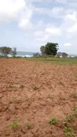 Eneo la Eka 10 Ufukweni Mbutu Kigamboni Linauzwa - 2