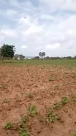 Eneo la Eka 10 Ufukweni Mbutu Kigamboni Linauzwa - 3