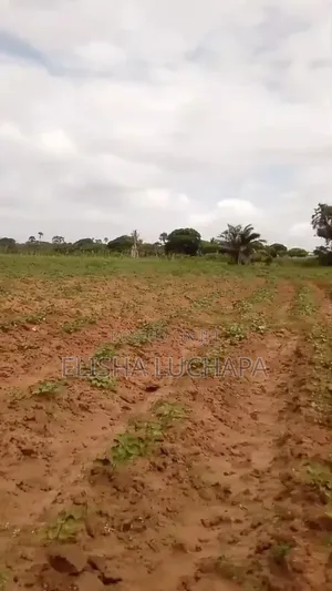Eneo la Eka 10 Ufukweni Mbutu Kigamboni Linauzwa