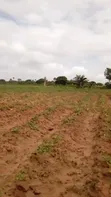 Eneo la Eka 10 Ufukweni Mbutu Kigamboni Linauzwa - 4