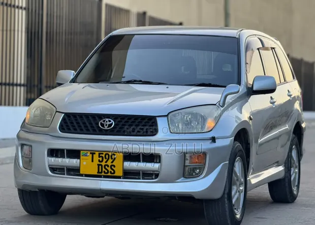 Toyota RAV4 2004 Silver - 1