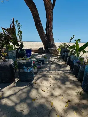 Eneo la Beach Plot sqm 2000 Linauzwa Mbezi Beach