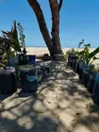 2000 sqm Beach Plot for Sale at Mbezi Beach - 1