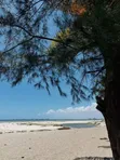 2000 sqm Beach Plot for Sale at Mbezi Beach - 2
