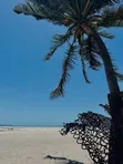 2000 sqm Beach Plot for Sale at Mbezi Beach - 3