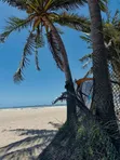 2000 sqm Beach Plot for Sale at Mbezi Beach - 4
