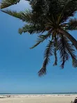 2000 sqm Beach Plot for Sale at Mbezi Beach - 5