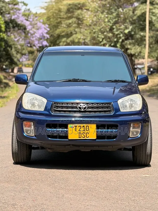 Toyota RAV4 2004 Bluu - 1