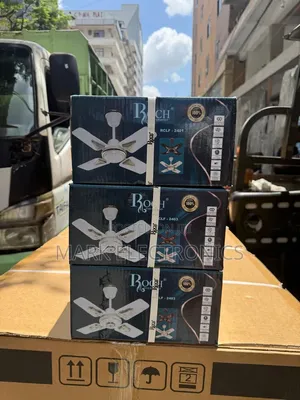 Roch Size 24 Ceiling Fan