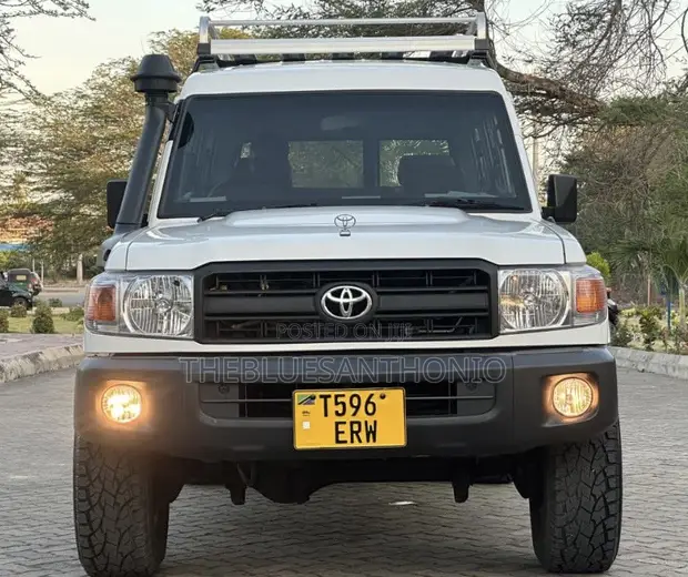 Toyota Land Cruiser 2010 Pearl - 1