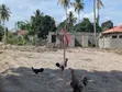 Viwanja vya Uuzaji TZS 6,500,000 - Pugu Majohe - 3