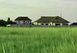 Kiwanja cha Makazi Kinauzwa, Kigamboni Cheka - 2