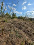 Land Plot for Sale - Madale Mbopo, 832 sqm - 4