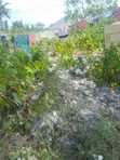 Plot for Sale in Jambiani, Zanzibar - 3