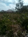 Plot for Sale in Jambiani, Zanzibar - 4