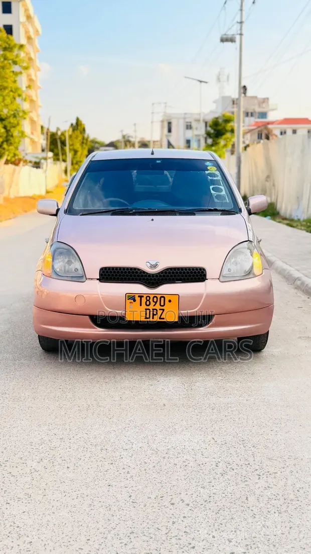 Toyota Vitz 2003 Pink - 1