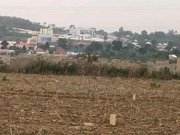 Plots for Sale in Nselewa Mkoani, Mbozi, Songwe - 1