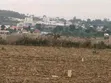 Plots for Sale in Nselewa Mkoani, Mbozi, Songwe - 1
