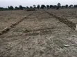 Plots for Sale in Nselewa Mkoani, Mbozi, Songwe - 2