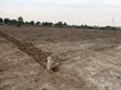 Plots for Sale in Nselewa Mkoani, Mbozi, Songwe - 3
