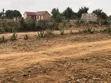 Plots for Sale in Nselewa Mkoani, Mbozi, Songwe - 4