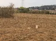 Plots for Sale in Nselewa Mkoani, Mbozi, Songwe - 5