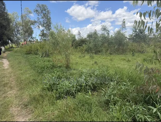 Land Plot for Sale Near Nyamongolo Bus Stand, Mwanza - 1
