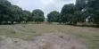 2500 SQMT Plot for Sale - Kigamboni Kibada - 5