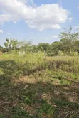 Kitalu Barabara ya East Africa Arusha Kinauzwa - 4