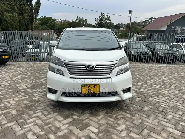 Toyota Alphard 2010 Rangi ya Loti - 1