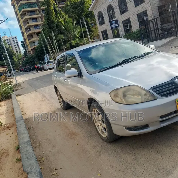 Toyota Allex 2005 Silver - 1