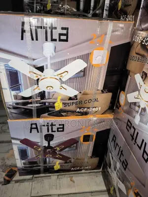 Arita Ceiling Fan 24'' Original
