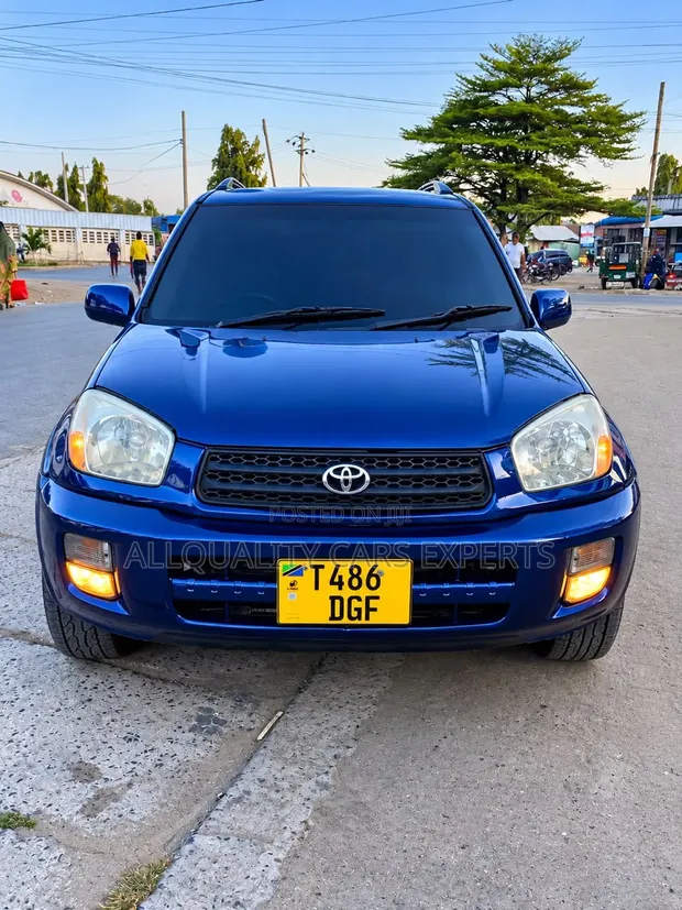 Toyota RAV4 2001 - 1