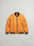 Yellow Louis Vuitton Monogram Zip-Up Blouson Jacket - 2