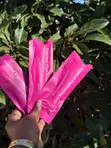 Vaginal Tightening Gel - Ght - 2