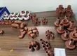 IPS & PPR Fittings - Size Zote 1/2"-2" - 1