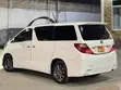 Toyota Vellfire 2009 White - 1