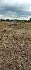 Kiwanja kwa Mauzo Arusha - Kikatiti - 1