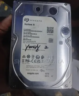 10TB Seagate Skyhawk HDD ya Surveillance