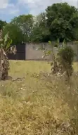 Eneo la Biashara Linauzwa - Ukonga Mombasa - 4